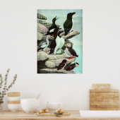 Vintage Puffins und Wasservögel von Louis Futes Poster (Küche)
