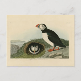 Vintage PuffsIllustration Postkarte