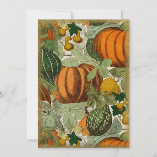 Vintage Pumpkins und Gourds Einladung (Rückseite)