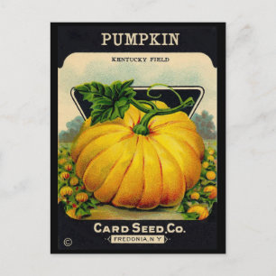 Vintage Pumplin Seed Ad Postkarte
