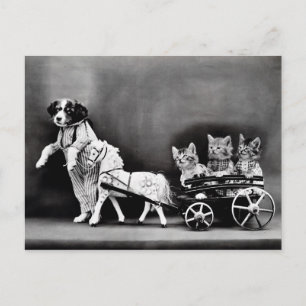 Vintage Puppies and Kittens Postcard Postkarte