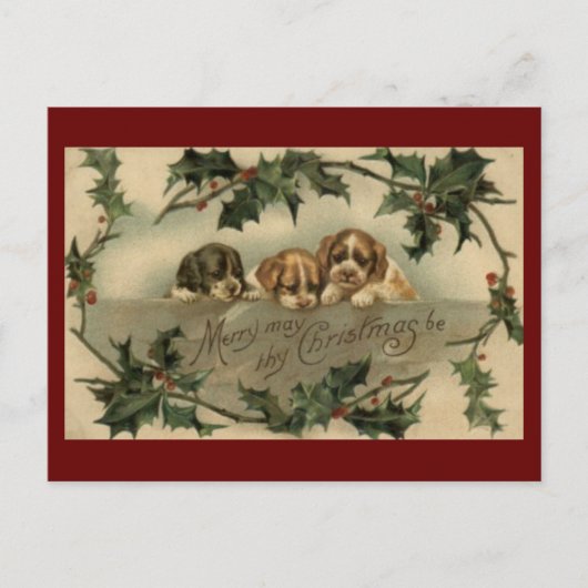 Vintage Puppy Trio Christmas Postcard Feiertagspostkarte (Vorderseite)