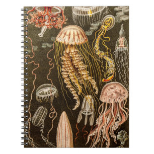 Vintage Qualle Antike Qualle Illustration Notizblock