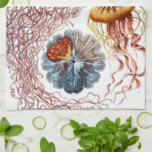 Vintage Qualle von Ernst Haeckel, Discomedusae Geschirrtuch (Gefaltet)