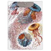 Vintage Qualle von Ernst Haeckel, Discomedusae Klemmbrett (Vorderseite)