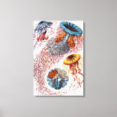 Vintage Qualle von Ernst Haeckel, Discomedusae Leinwanddruck (Vorderseite)