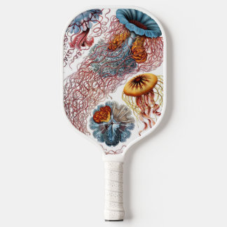 Vintage Qualle von Ernst Haeckel, Discomedusae Pickleball Schläger