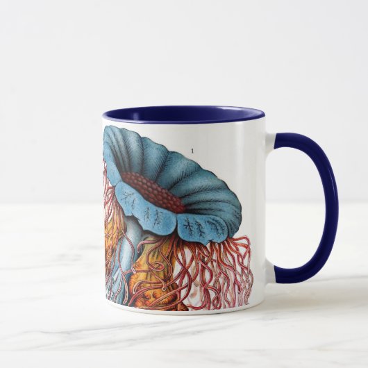 Vintage Qualle von Ernst Haeckel, Discomedusae Tasse (Rechts)