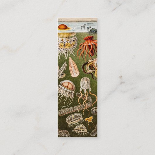 Vintage Quallen-Antiken-Qualle-Illustration Mini Visitenkarte (Vorderseite)