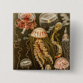 Vintage Quallen-Antiken-Qualle-Schablone Button (Vorderseite)