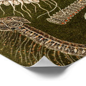 Vintage Quallenfisch-Jelly-Fisch-Illustration Poster (Ecke)