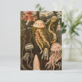 Vintage Quallenfisch-Jelly-Fisch-Illustration RSVP Karte (Stehend Vorderseite)