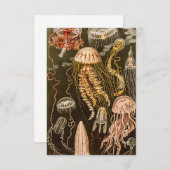 Vintage Quallenfisch-Jelly-Fisch-Illustration RSVP Karte (Vorne/Hinten)