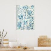 Vintage Quallenillustration Poster (Küche)