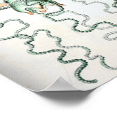 Vintage Quallenillustration Poster (Ecke)