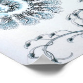 Vintage Quallenillustration Poster (Ecke)