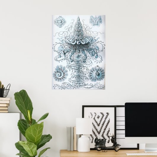 Vintage Quallenillustration Poster (Heimbüro)