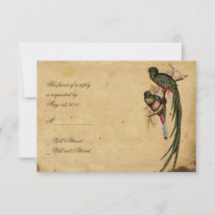 Vintage Quetzal Bird Elegante Response Karte
