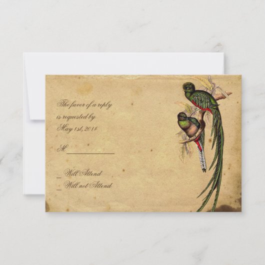 Vintage Quetzal Bird Elegante Response Karte (Vorderseite)