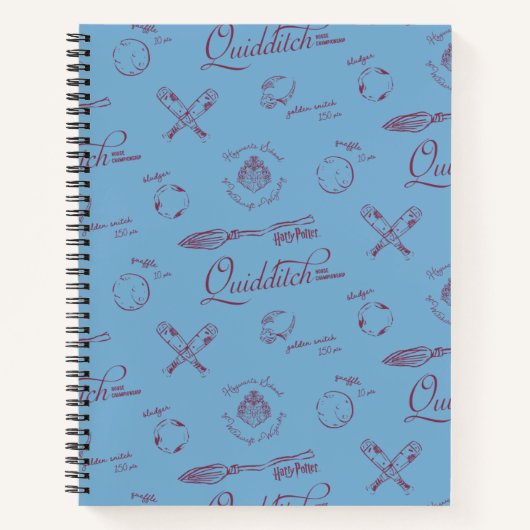 Vintage QUIDDITCH™-Skizzenmuster Notizblock (Vorderseite)