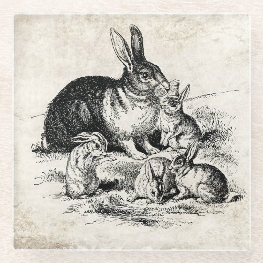 Vintage Rabbit-Familiendarstellung, Baby Bunnies Glasuntersetzer (Vorderseite)