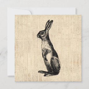 Vintage Rabbit Illustration Alt-modischer Bunny Karte