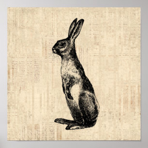 Vintage Rabbit Illustration Alt-modischer Bunny Poster