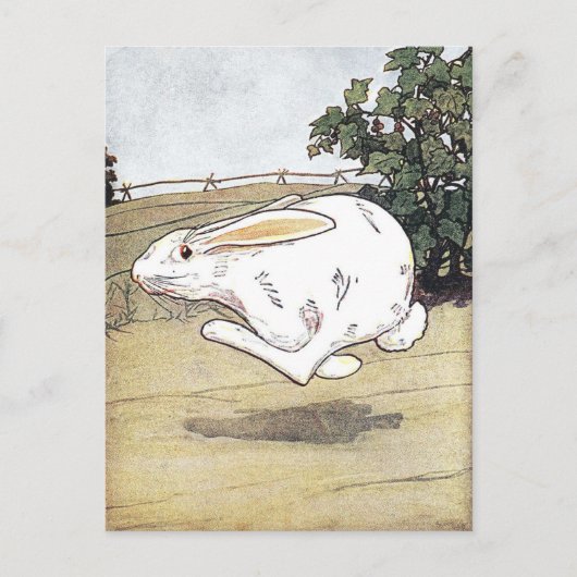 Vintage Rabbit-Kinderbuch-Illustration Postkarte (Vorderseite)