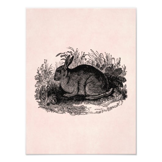 Vintage Rabbit Retro Bunny Template Rabbits 1800 Fotodruck (Vorne)
