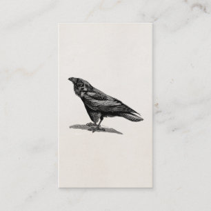 Vintage-Raben-Krähe-Amsel-Vogel-Illustration Visitenkarte
