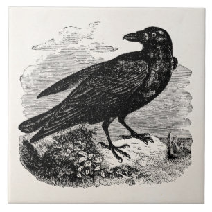 Vintage Raben-Schwarz-Vogel-Krähen-personalisiert Fliese