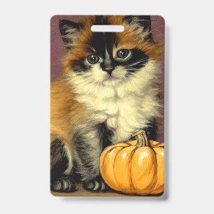 Vintage-Ragdoll-Halloween-Katze Ausweis