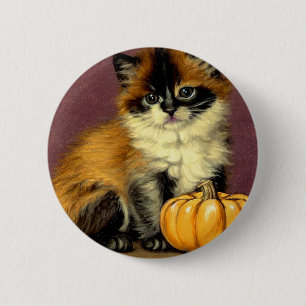 Vintage Ragdoll Halloween-Katze Button
