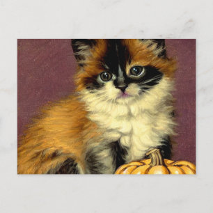 Vintage Ragdoll Halloween-Katze Feiertagspostkarte