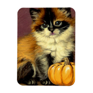 Vintage Ragdoll Halloween-Katze Magnet