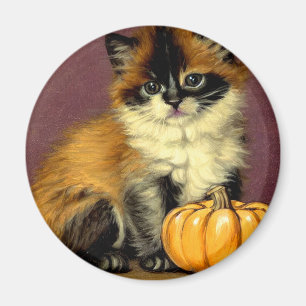 Vintage Ragdoll Halloween-Katze Magnet