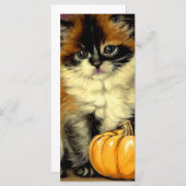 Vintage Ragdoll Halloween-Katzenkarte (Vorne/Hinten)