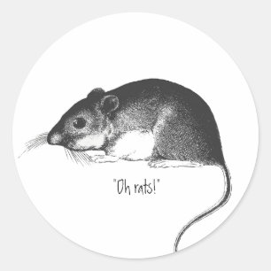 vintage Ratte Maus retro stilvoll chic Runder Aufkleber