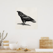 Vintage Raven Crow Blackbird-Vogelanzeige Poster (Küche)
