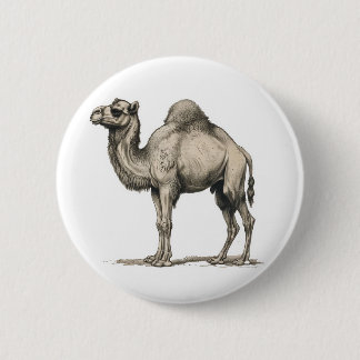 Vintage realistische Kamel-Illustration - Wüstenka Button