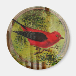 Vintage Red Bird Magnet