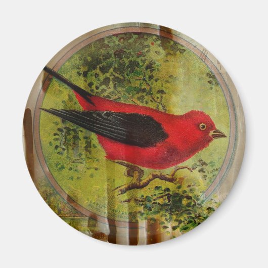 Vintage Red Bird Magnet (Vorne)