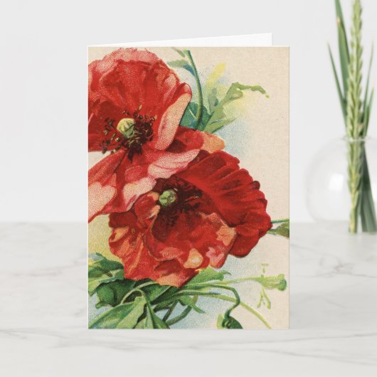 Vintage Red Poppe Blume Card Karte (Vorderseite)