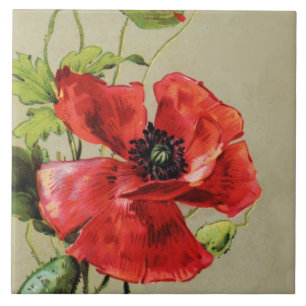 VINTAGE RED POPPY-BLUME FLIESE