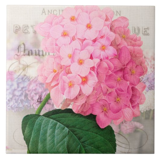 Vintage Redoute Pink Hydrangea Keramik Tile Fliese (Vorderseite)