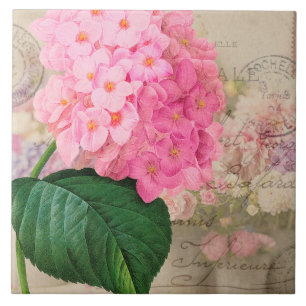 Vintage Redoute Pink Hydrangea Keramik Tile Fliese
