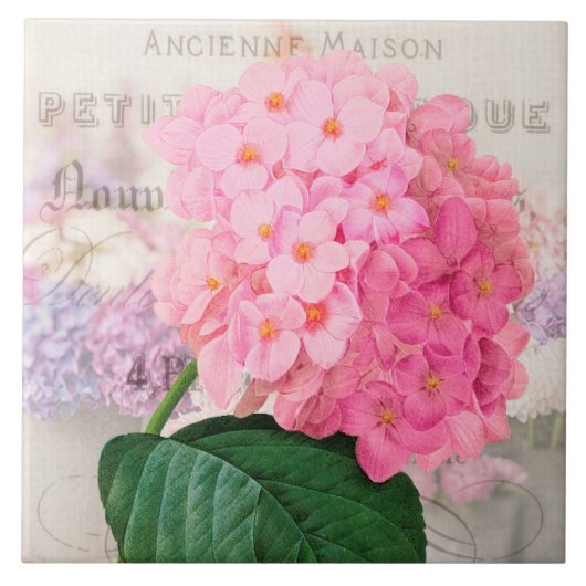 Vintage Redoute Pink Hydrangea Keramik Tile Fliese (Vorderseite)