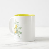 VINTAGE REDOUTÉ "YELLOW ROSE"-TASSE ZWEIFARBIGE TASSE (Vorderseite Links)