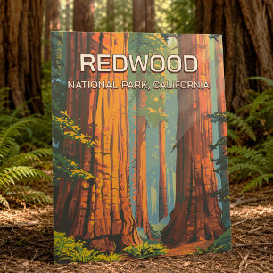 Vintage Redwood Nationalpark Kalifornien Retro Postkarte