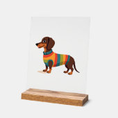 Vintage-Regenbogen-Pullover Dachshund Süßer langer Acrylschild (Winkel)